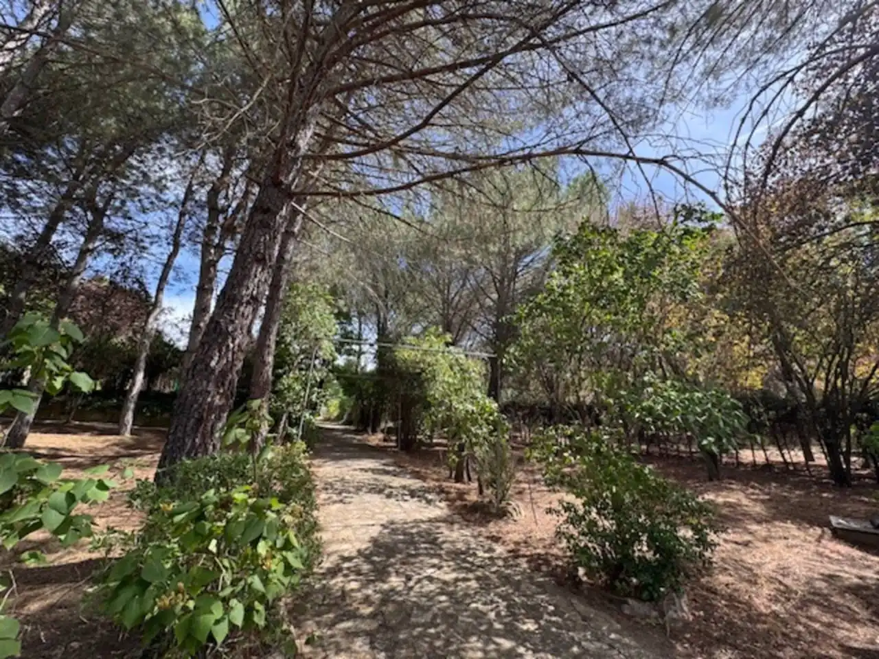 Jardín de Casa o chalet en venta en Villavieja del Lozoya con Calefacción, Terraza y Piscina
