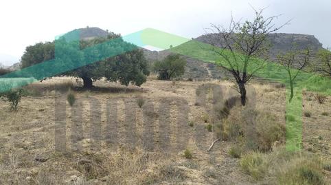 Foto 3 de Finca rústica en venta en Partida Bortolons, Relleu, Alicante