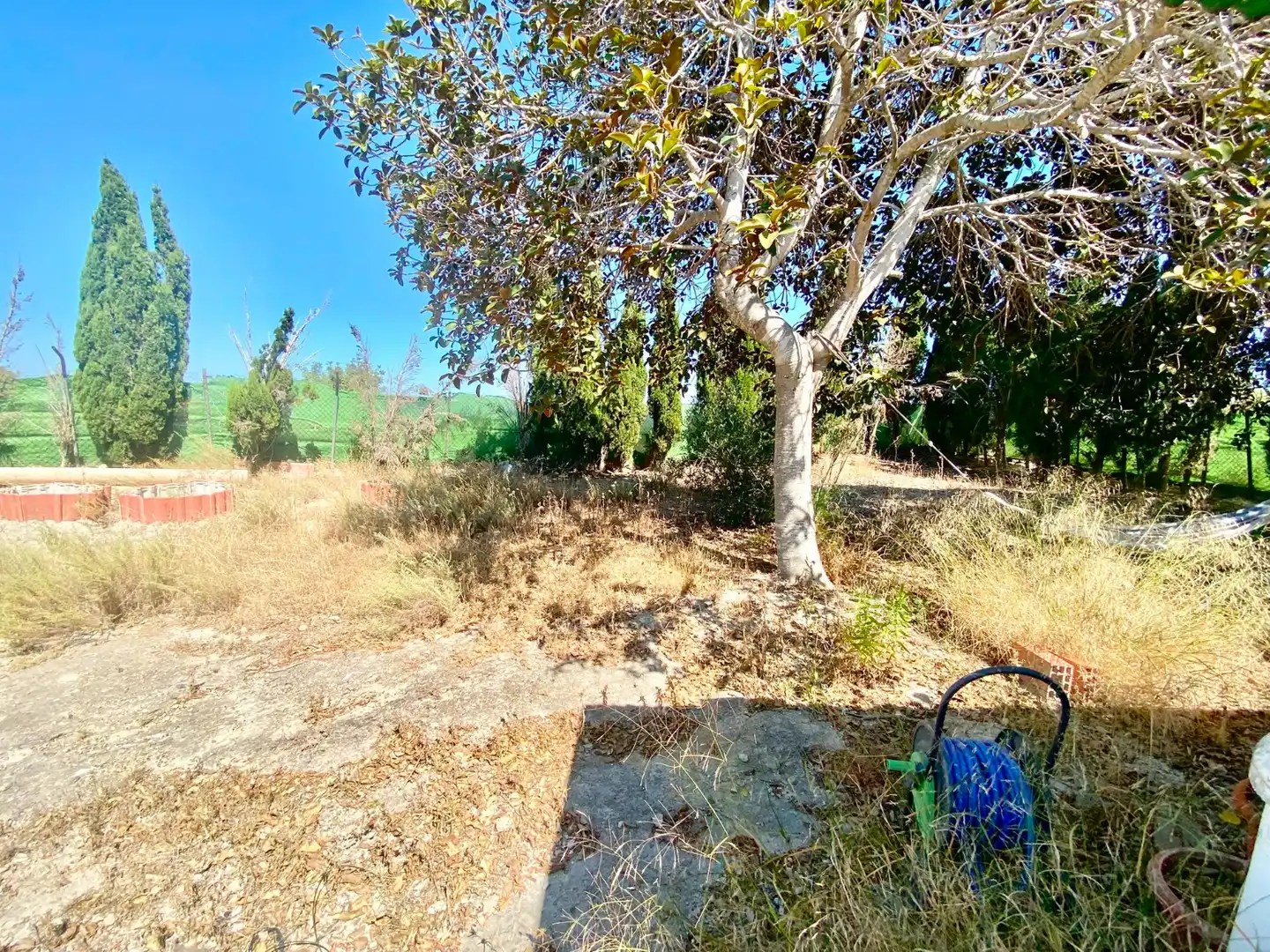 Terrenos y solares en venta en San Miguel de Salinas, imagen 13