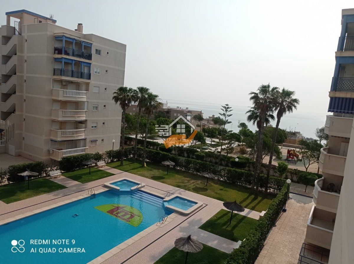 Swimming pool of Apartment to rent in Elche / Elx  with Balcony
