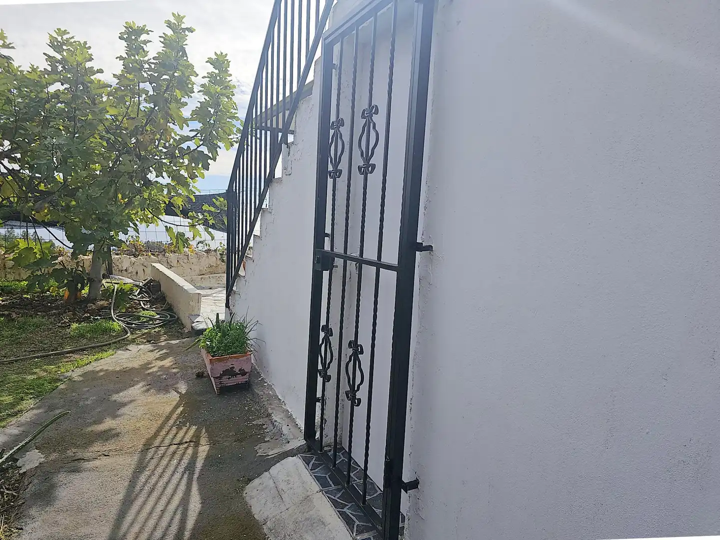 Jardí de Finca rústica en venda en Granadilla de Abona