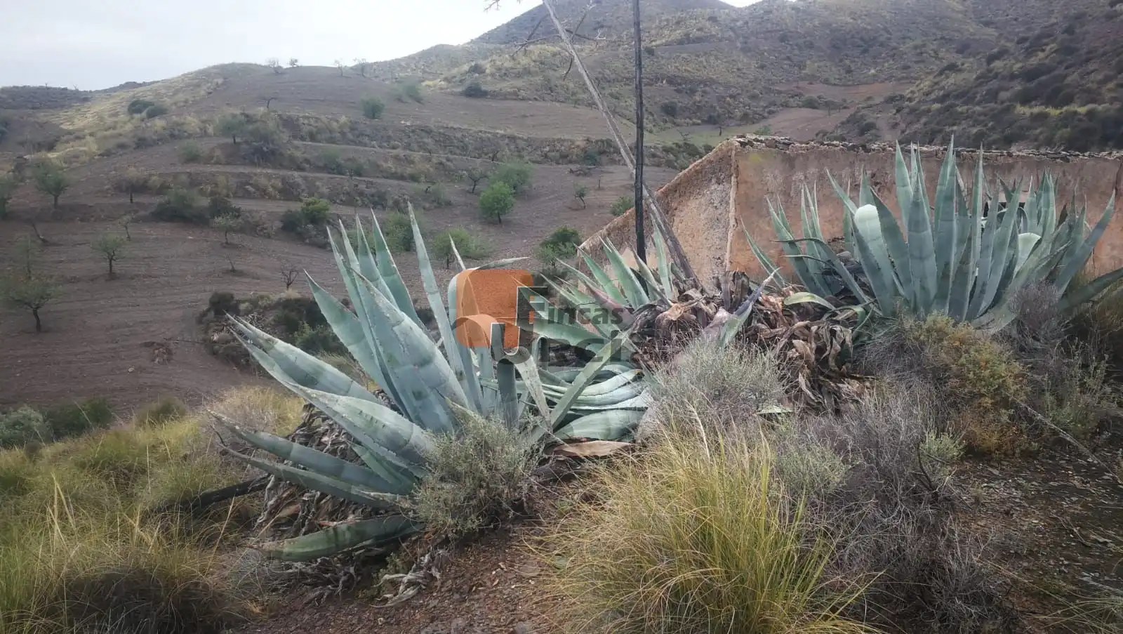 Casa en venda a Tébar - Los Arejos, imagen 4
