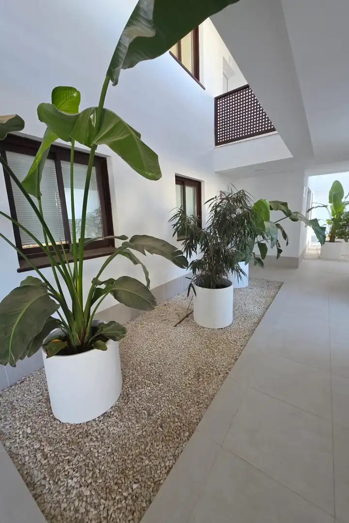 Apartament amb ascensor en venda a El Higuerón, imagen 19