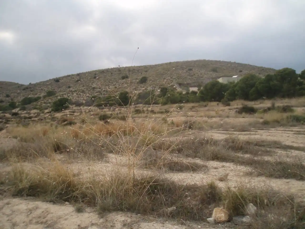 Terreny residencial en venda a Villamontes - Boqueres, imagen 2