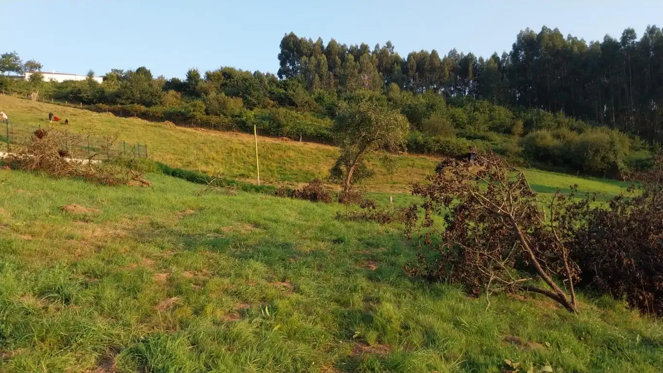 Terreno residenziale in vendita a Carretera a Molleda 1, imagen 10