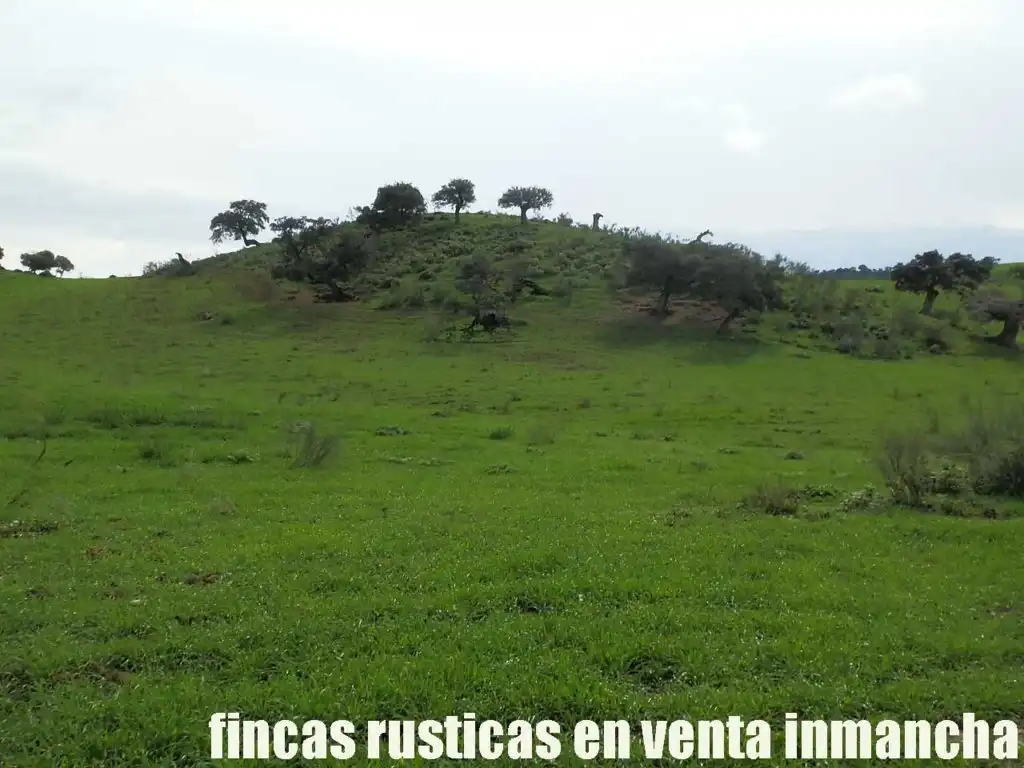 Terreno rustico in vendita a Algodonales, imagen 10
