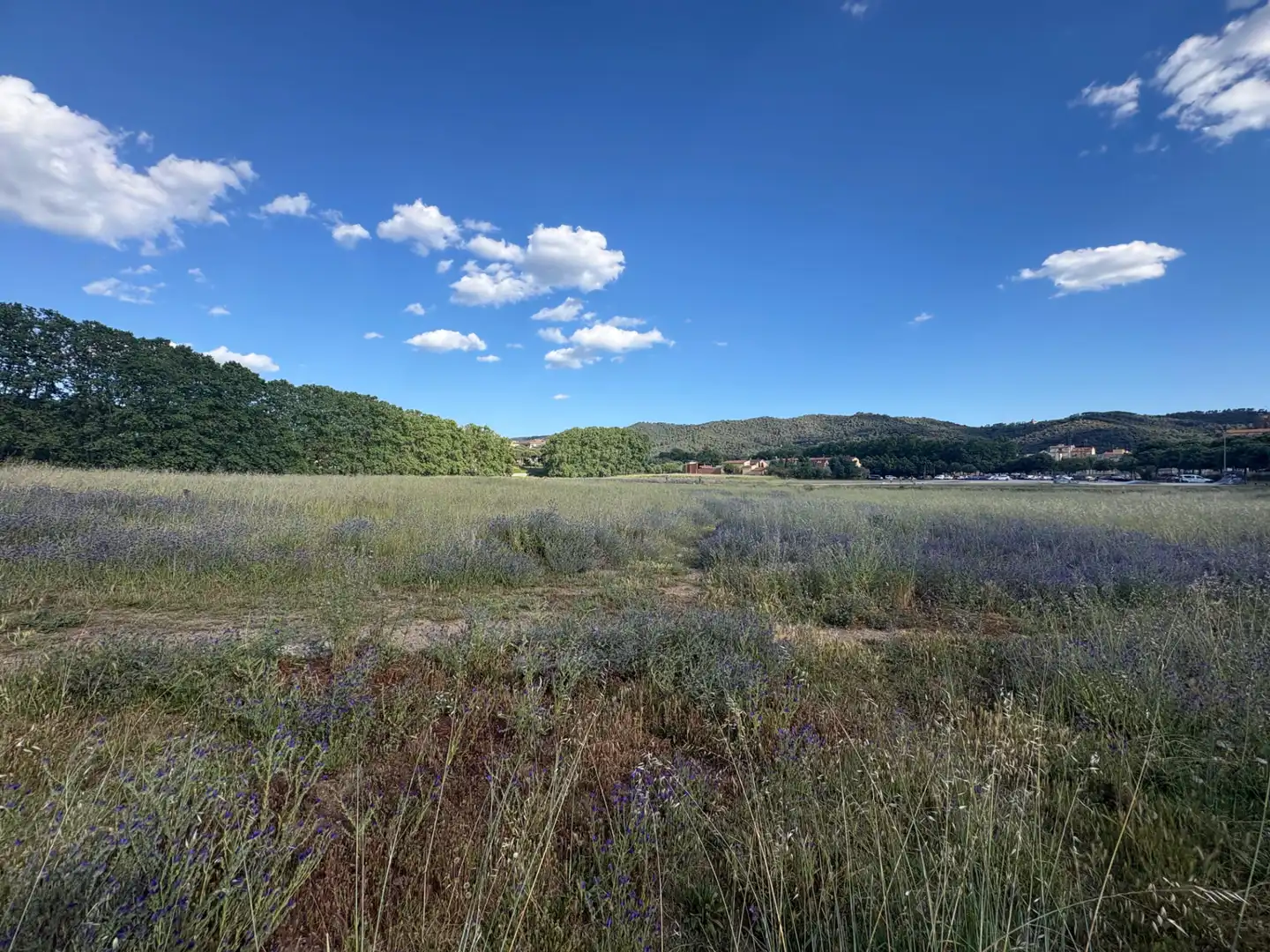 Rural land for sale in Llinars del Vallès, imagen 2