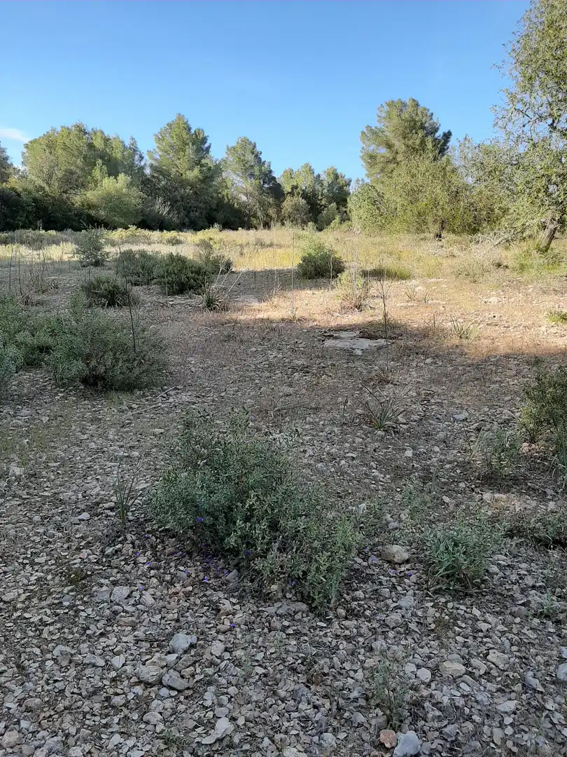 Terrain rustique à vendre à Sant Joan, imagen 8