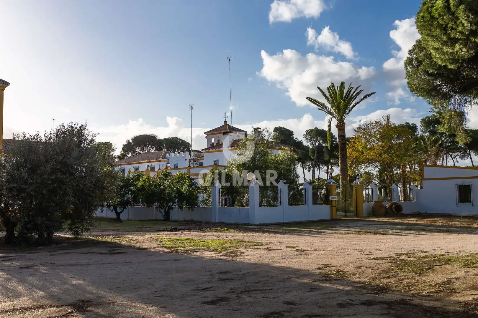 Vista exterior de Casa o chalet en venta en Marchena con Calefacción, Jardín privado y Piscina