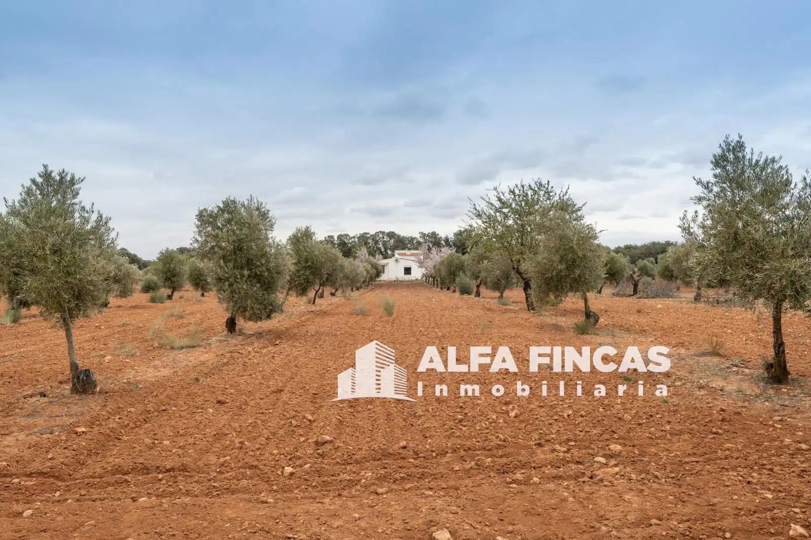 Casa o xalet en venda en Villarrobledo amb Aire condicionat, Calefacció i Jardí privat