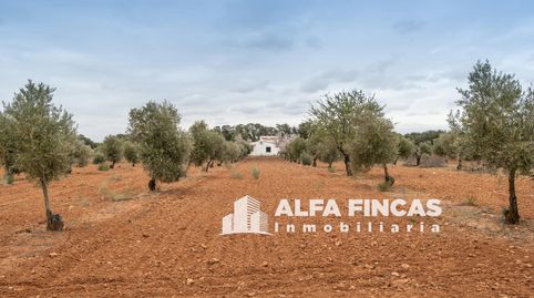 Foto 3 de Casa o xalet en venda a Diseminados, Villarrobledo, Albacete