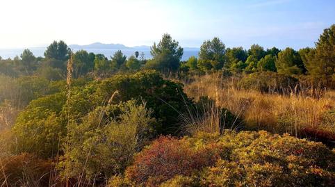 Photo 5 of Residential for sale in Betlem, Illes Balears