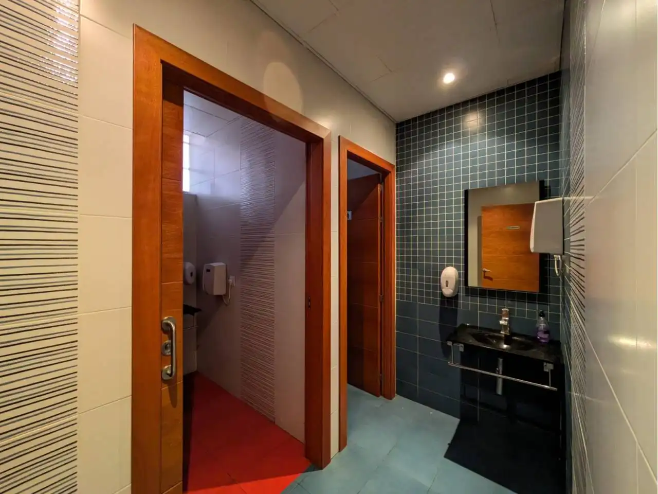 Baño de Local en venta en Sant Quintí de Mediona con Alarma