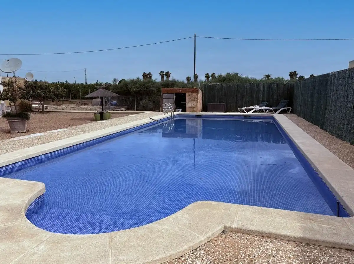 Swimming pool of Houses for sale in Elche / Elx  with Swimming Pool