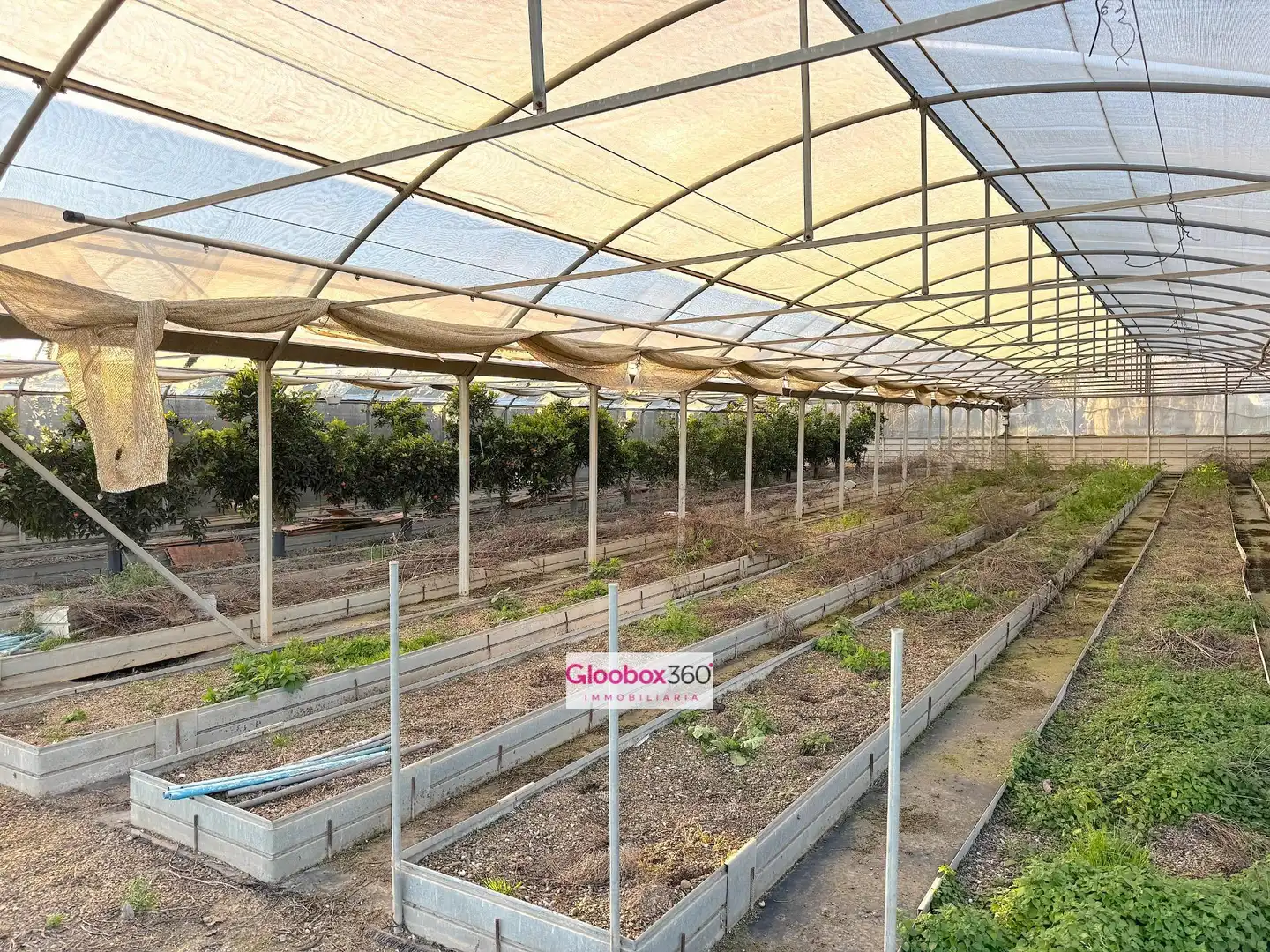 Terrenys i solars en venda a Camino Riudoms 43, imagen 89