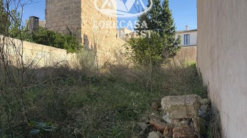 Foto 3 von Grundstücke zum Verkauf in Antoni Maura, Santa Margalida Poble, Santa Margalida