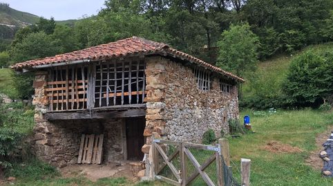 FINCA RÚSTICA CON CUADRA DE PIEDRA CERCA DE CANGAS DE ONIS