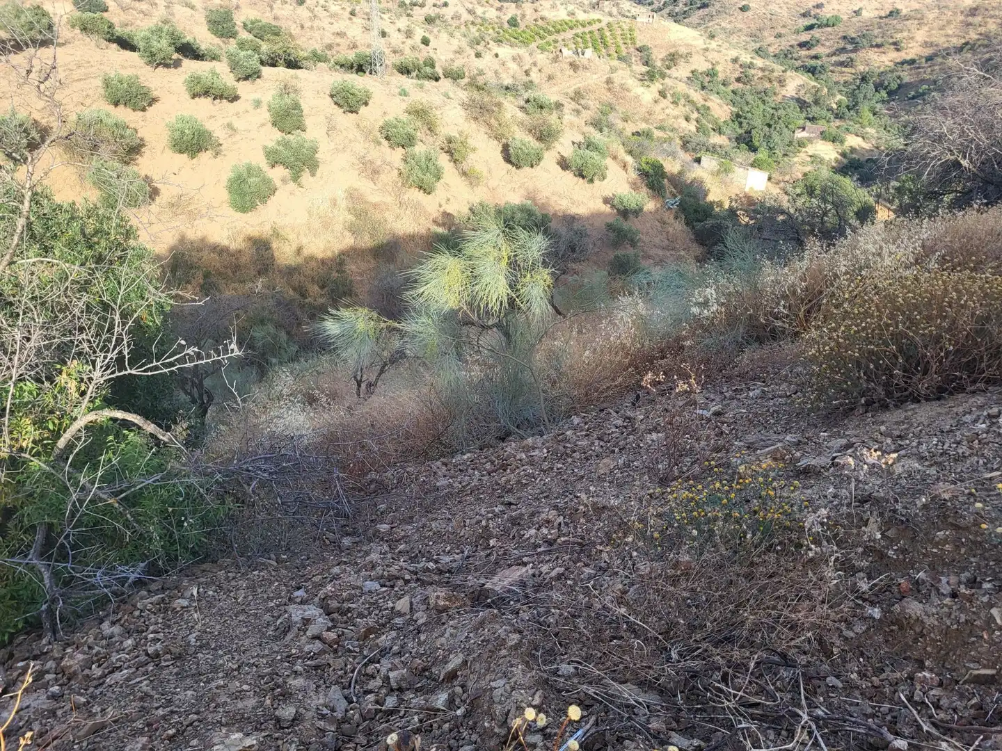 Terrenys i solars en venda a Campanillas, imagen 7