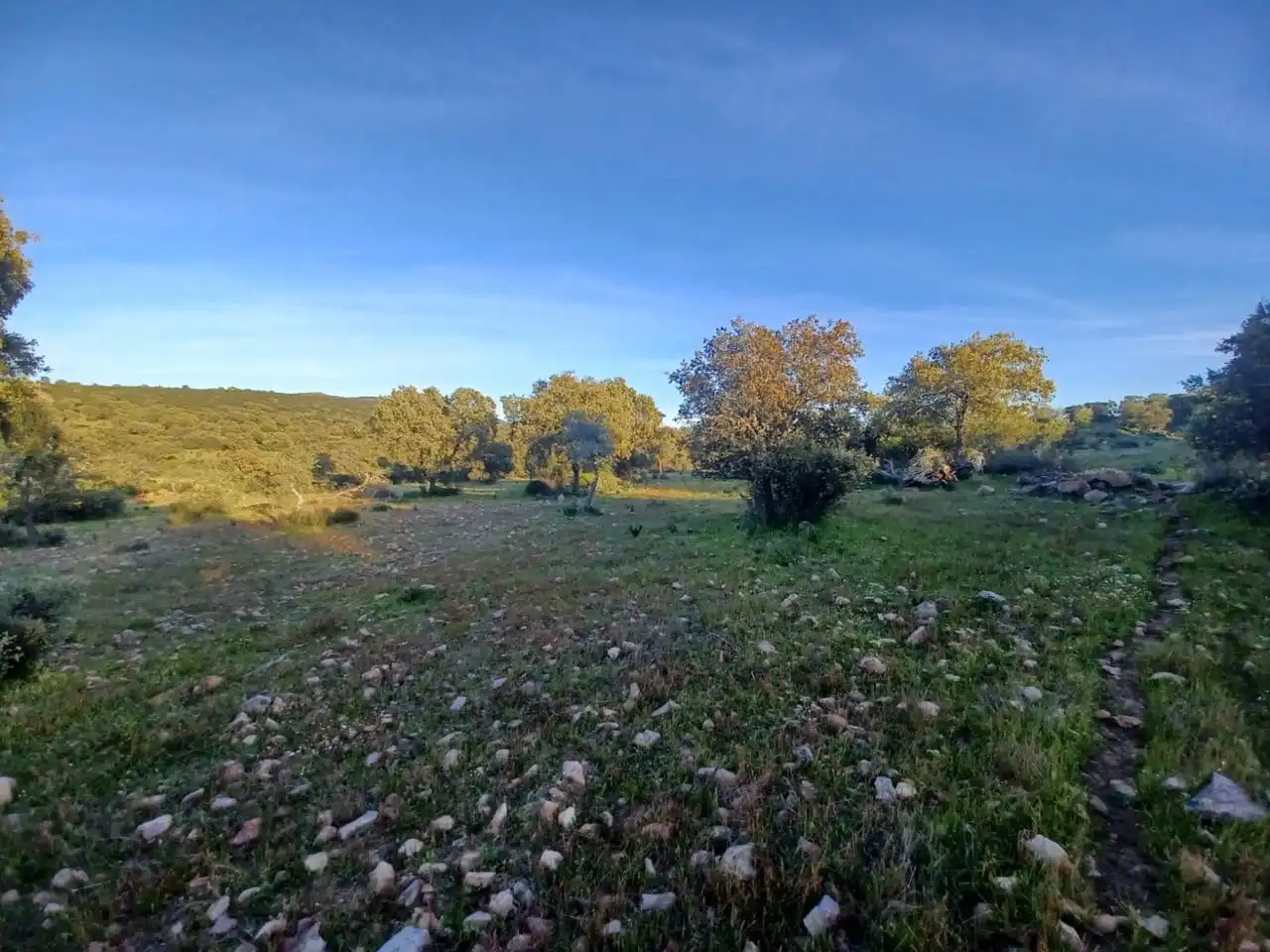 Grundstücke zum Verkauf in Peraleda del Zaucejo