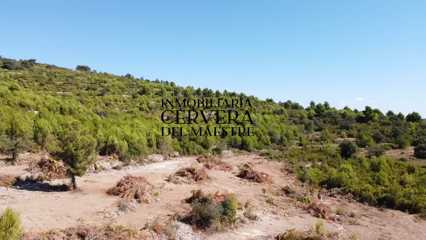 Terreno rustico in vendita a Cervera del Maestre