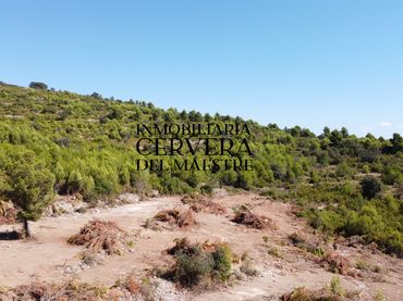 Terreno rústico en venta en Cervera del Maestre
