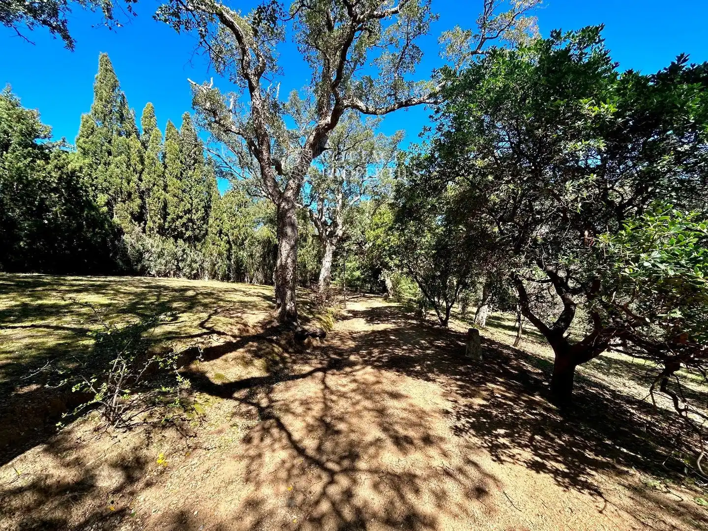 Finca rústica en venta en Darnius con Calefacción