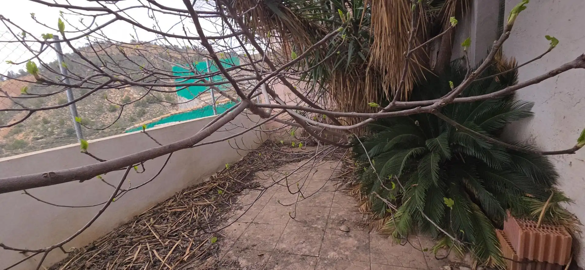 Casa o chalet en venta en Pliego