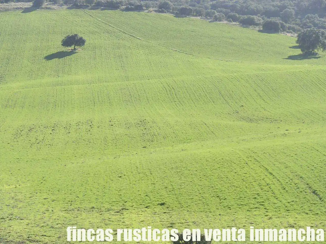 Terreny rústic en venda a Viso del Marqués, imagen 6