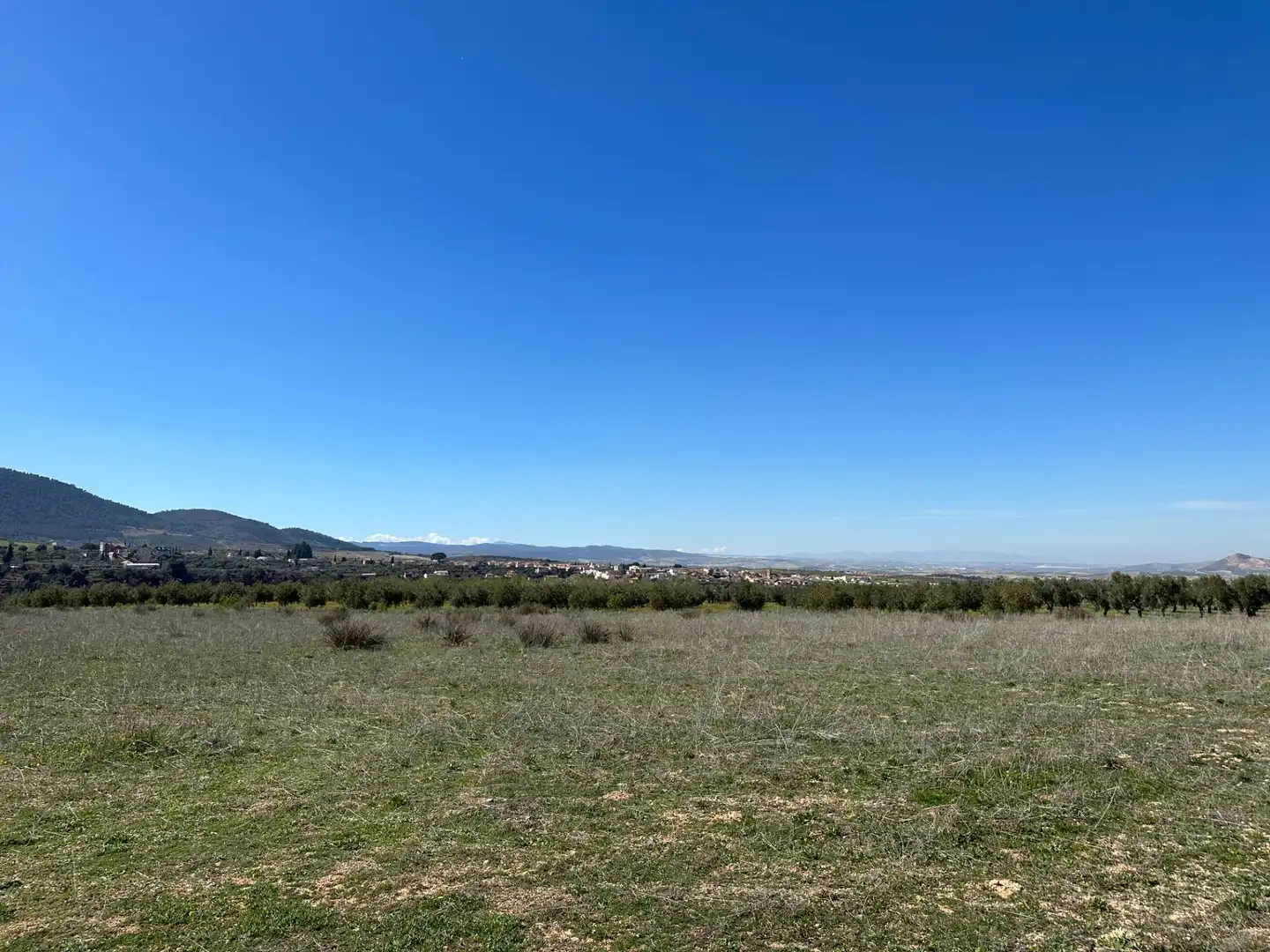 Terreny rústic en venda a Dílar, imagen 19