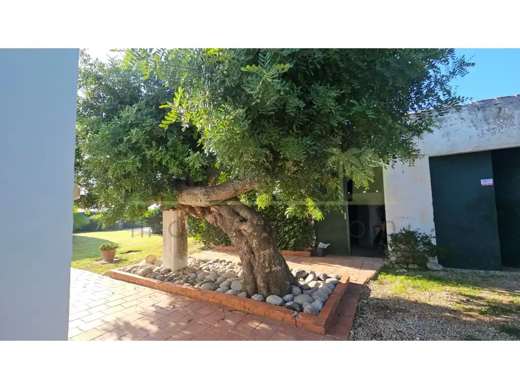 Jardí de Casa o xalet en venda en Vinaròs amb Calefacció, Jardí privat i Terrassa