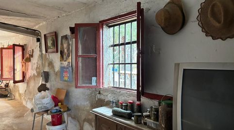 Foto 4 de Finca rústica en venda a La Algoda - Matola - Llano de San José, Elche / Elx