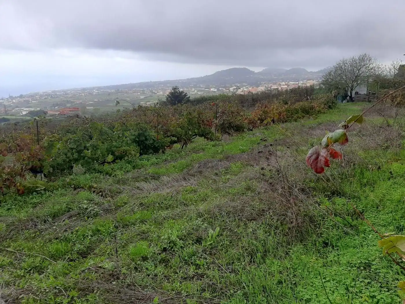 Terreny rústic en venda a CRUZ DE LEANDRO, imagen 10