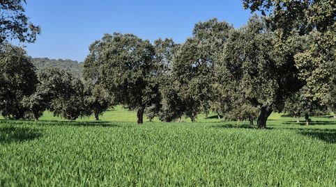 Oliva de MéridaFinca Rustica