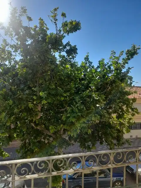 Casa o chalet en venta en Ensanche - Franciscanos