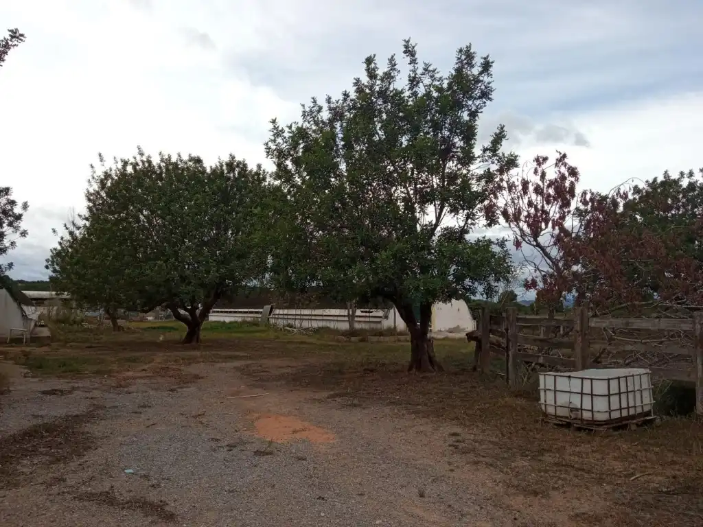 Residencial en venta en Llíria, Santa Bárbara