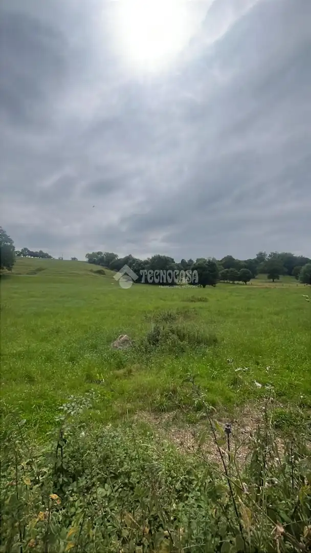 Terreni e lotti in vendita a Entrambasaguas, imagen 4
