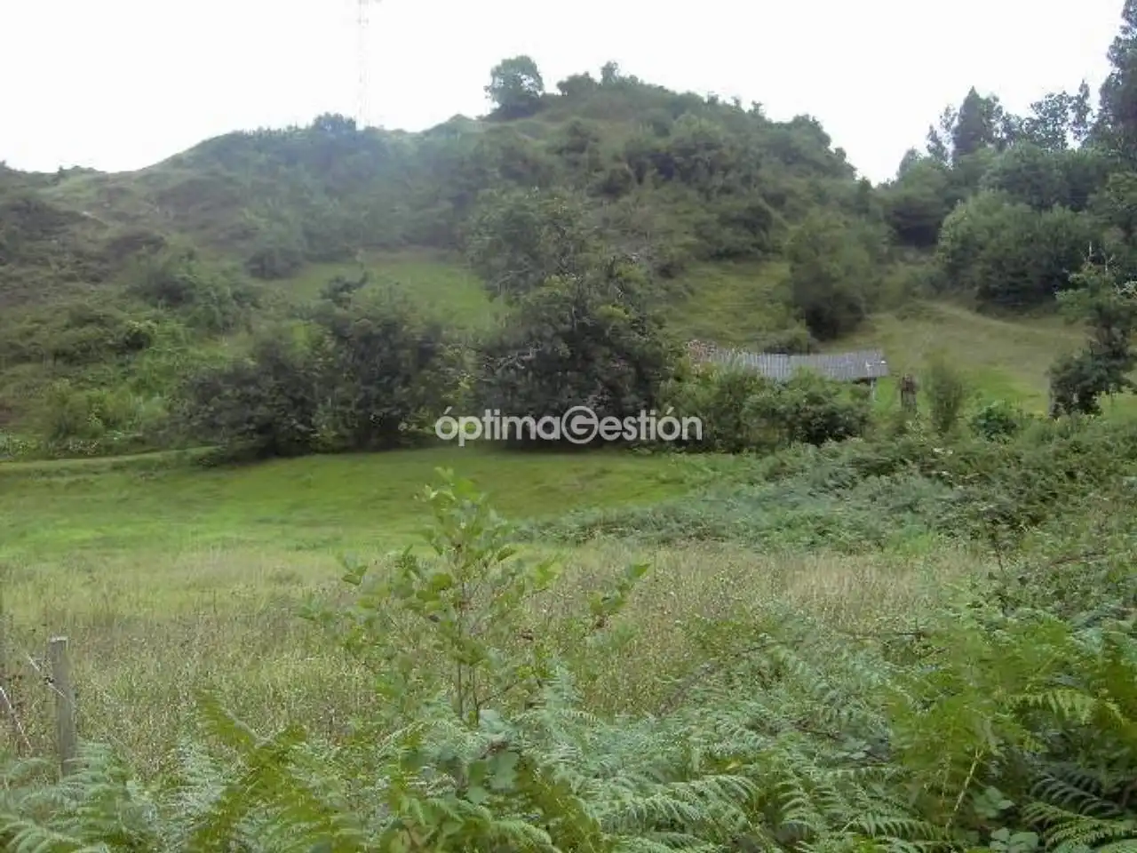 Terreno residencial en venta en Avenida CARRETERA A LAS CUEVAS 000