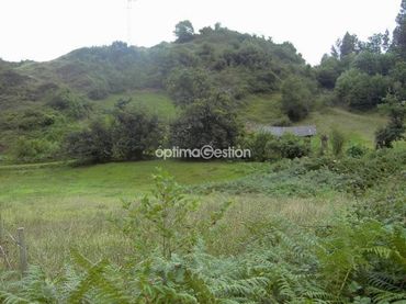 Terreno residencial en venta en Avenida CARRETERA A LAS CUEVAS 000