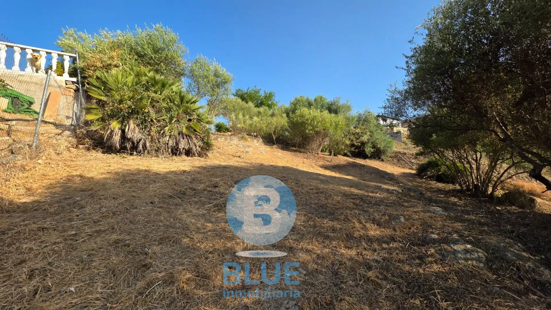 Residential land for sale in Almodóvar del Río, imagen 15