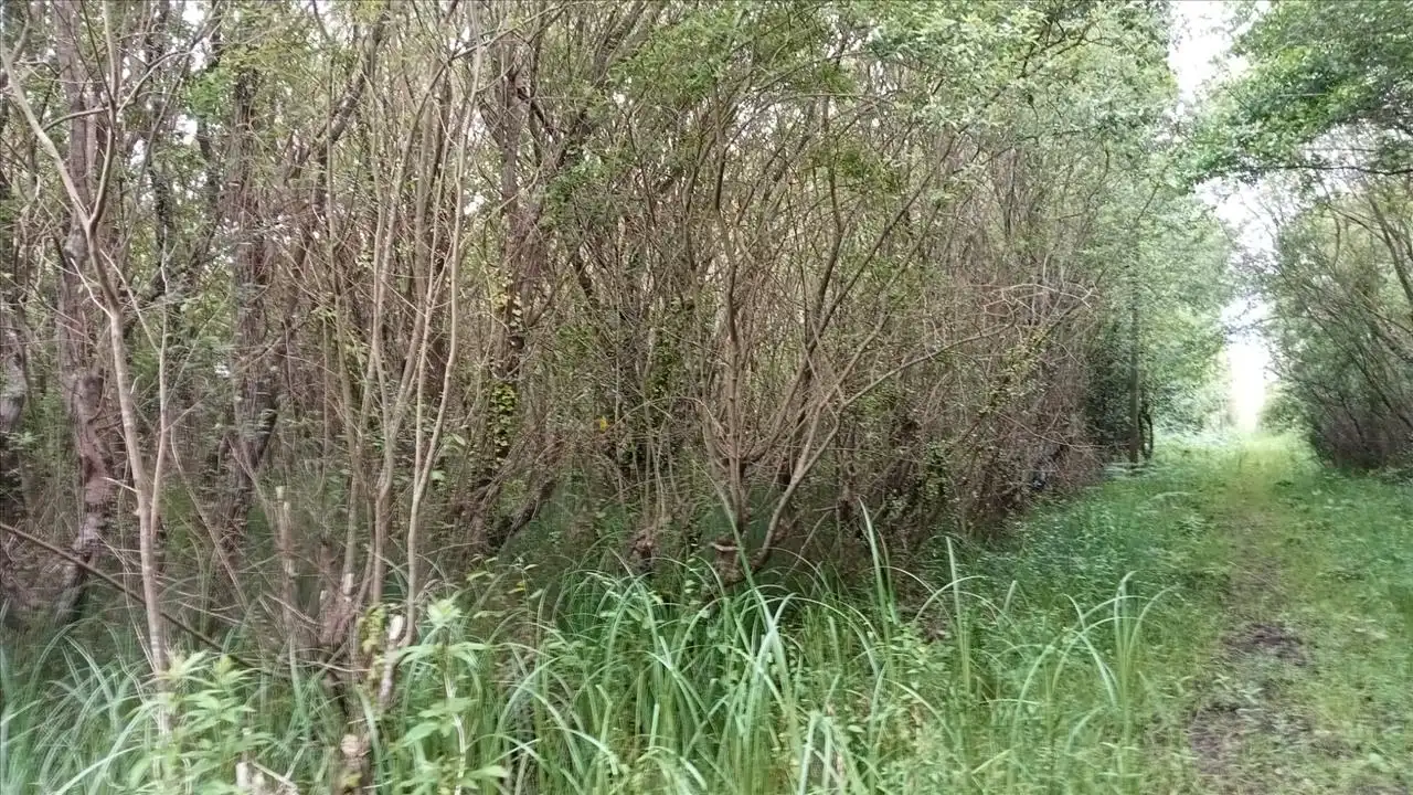 Grundstücke und Bauplätze zum Verkauf in Camposa-Beco, imagen 6
