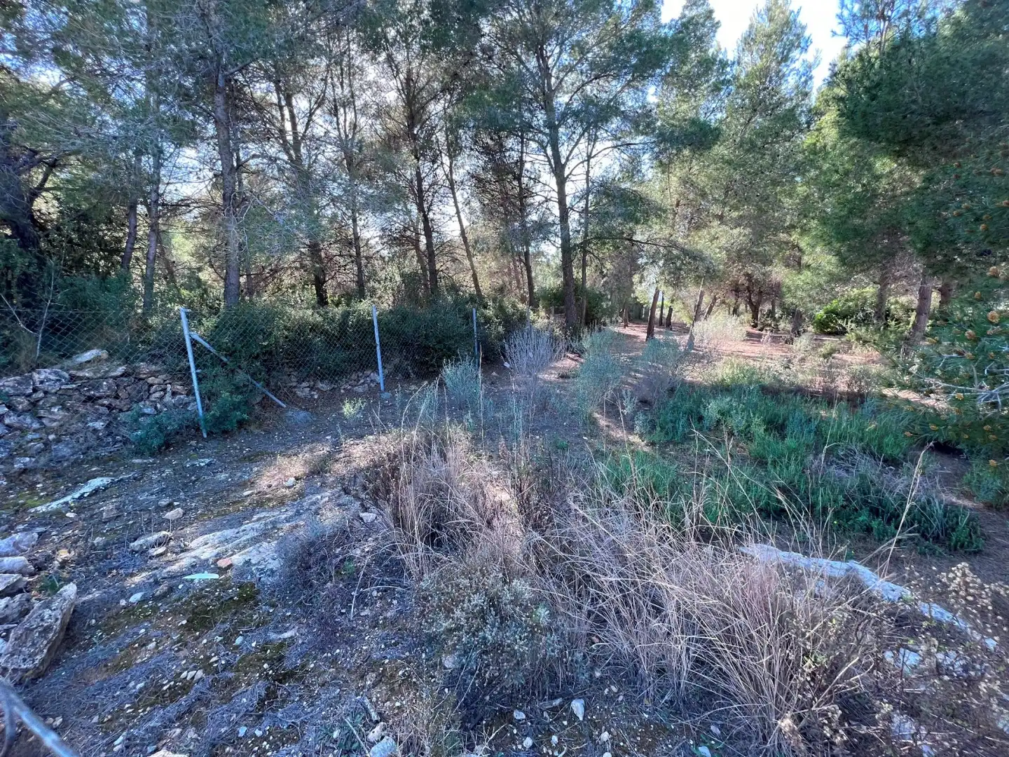 Terrenos y solares en venta en La Vall d'Uixó, imagen 10