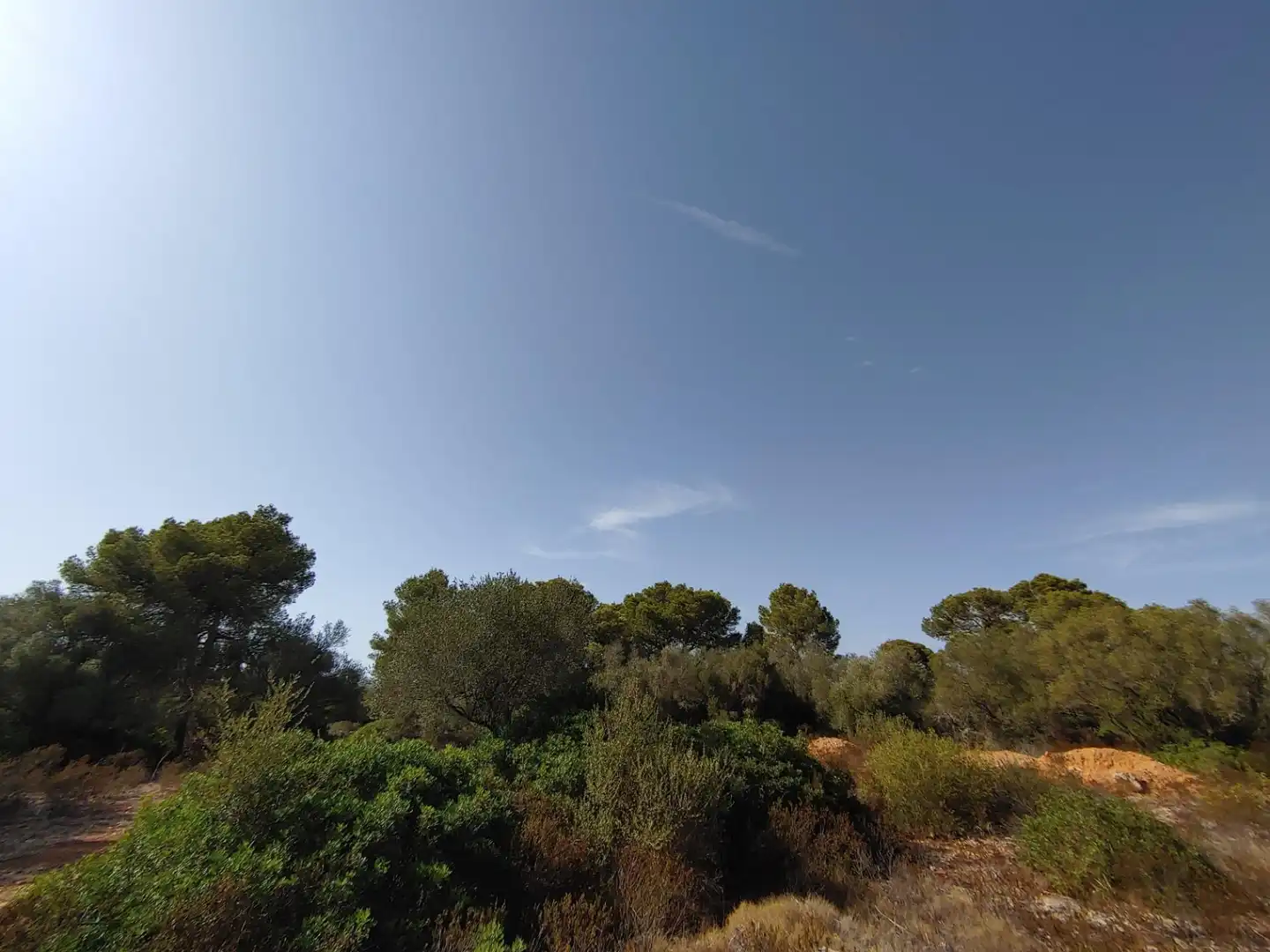 Residencial en venta en Polígono Parcela 12, Cala Pi - Vallgornera