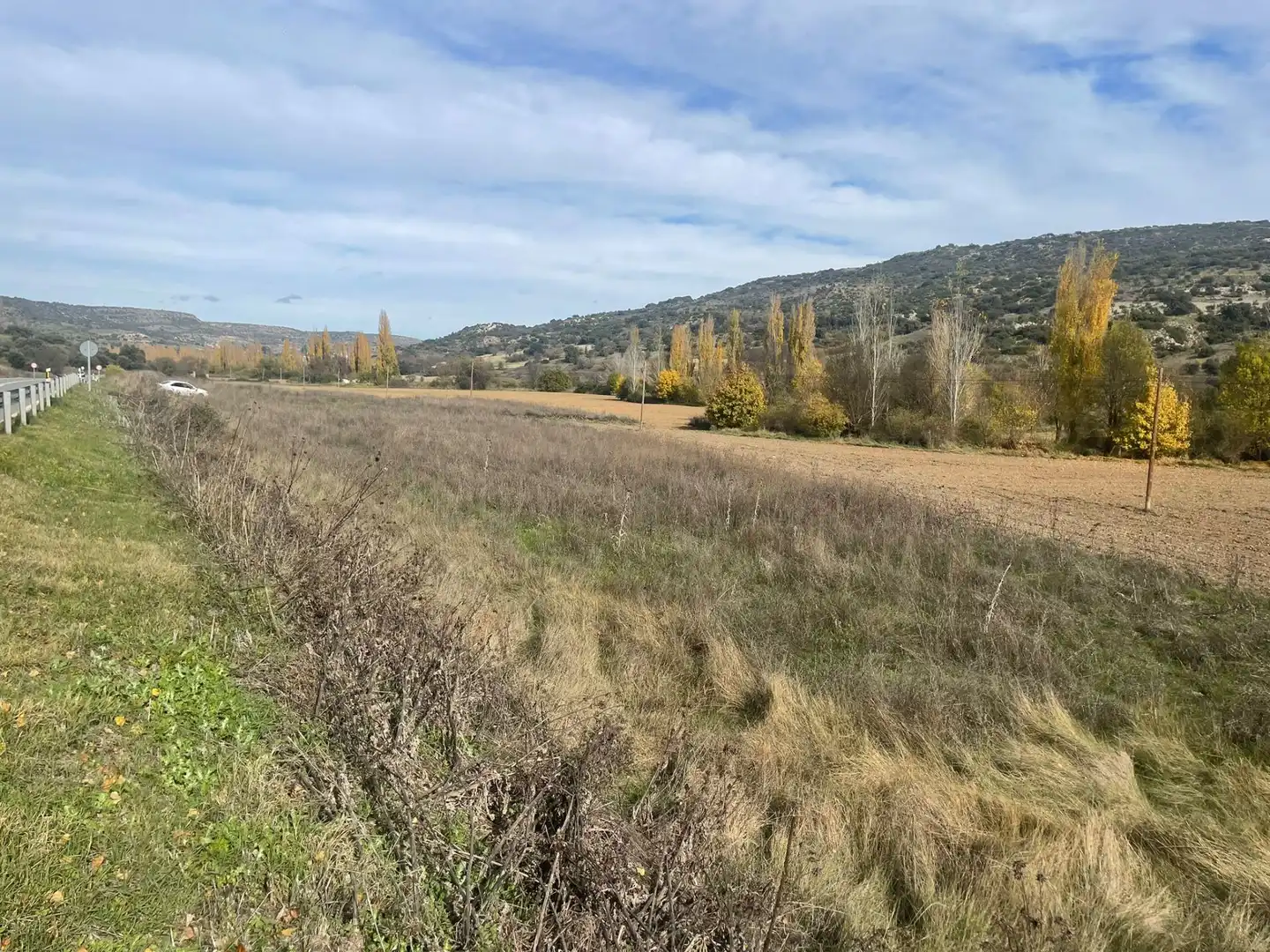 Rural land for sale in Orusco de Tajuña, imagen 9