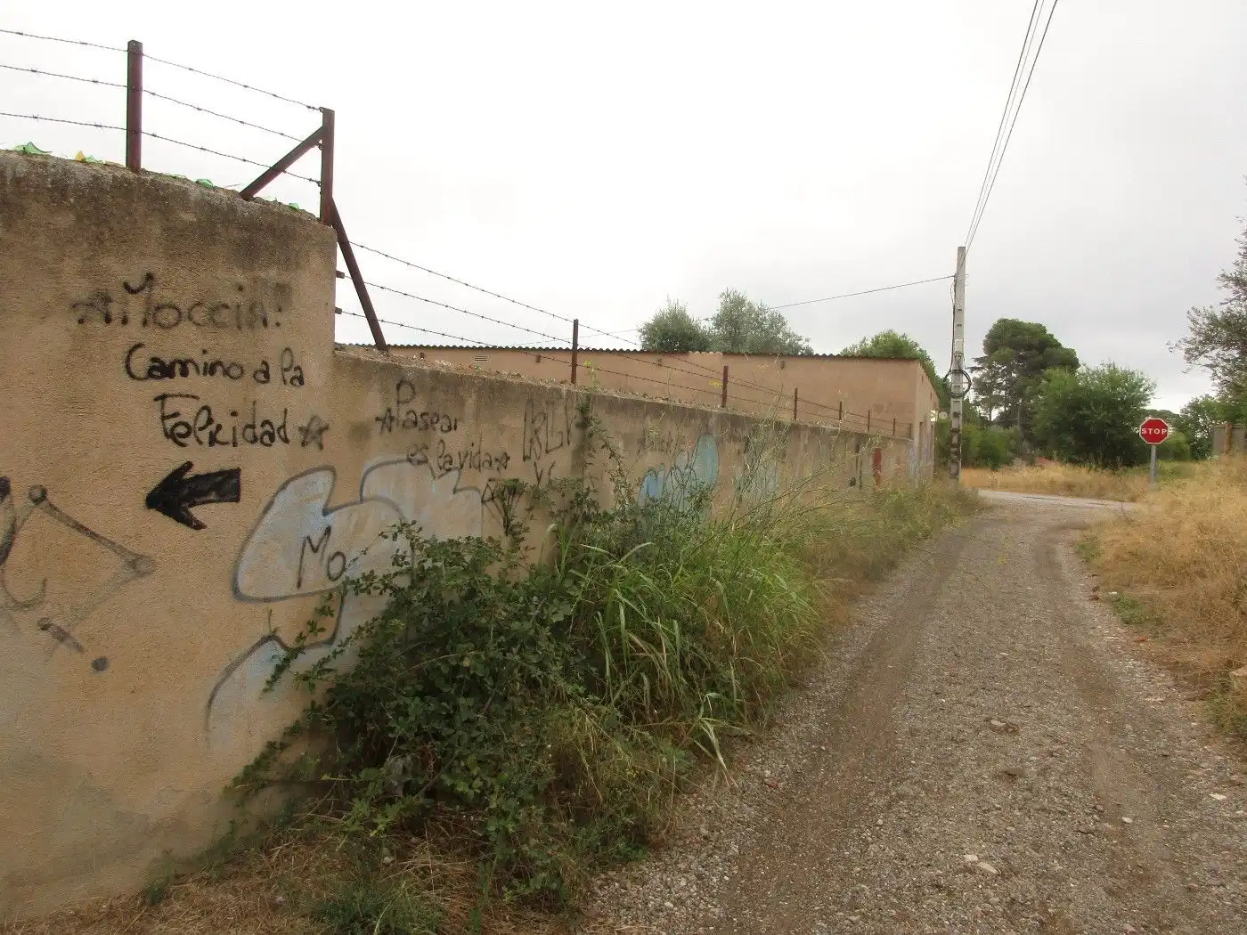 Wohnbaugrundstück zum Verkauf in Carretera Institut Pere Mata 1, imagen 7
