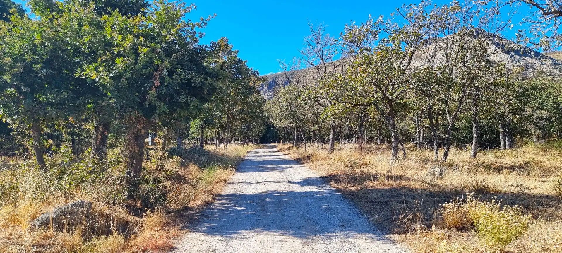 Terreno rustico in vendita a Carretera de Valdemanco 33, imagen 3