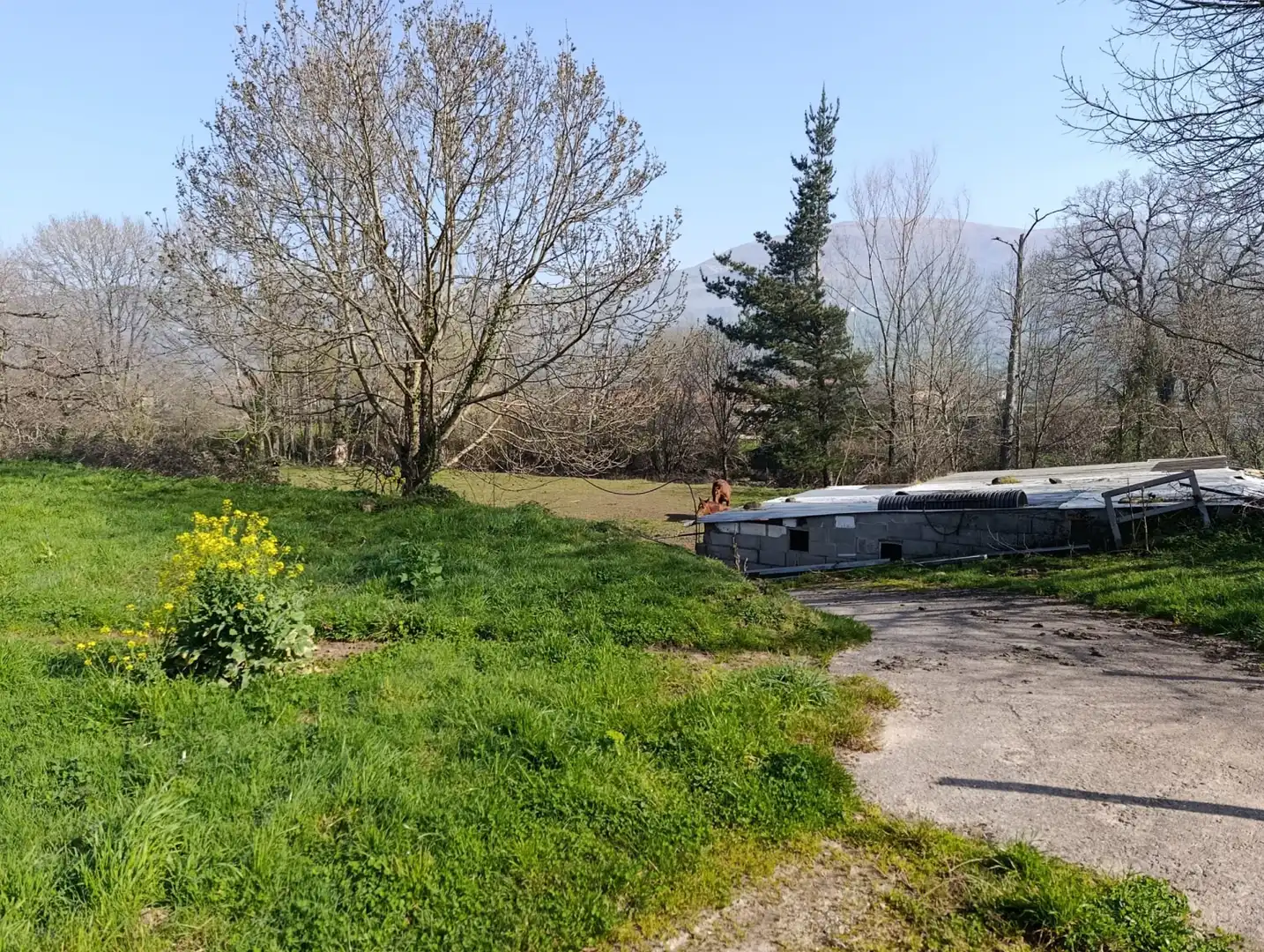 Terreni e lotti in vendita a Selaya - LA MIES, imagen 10