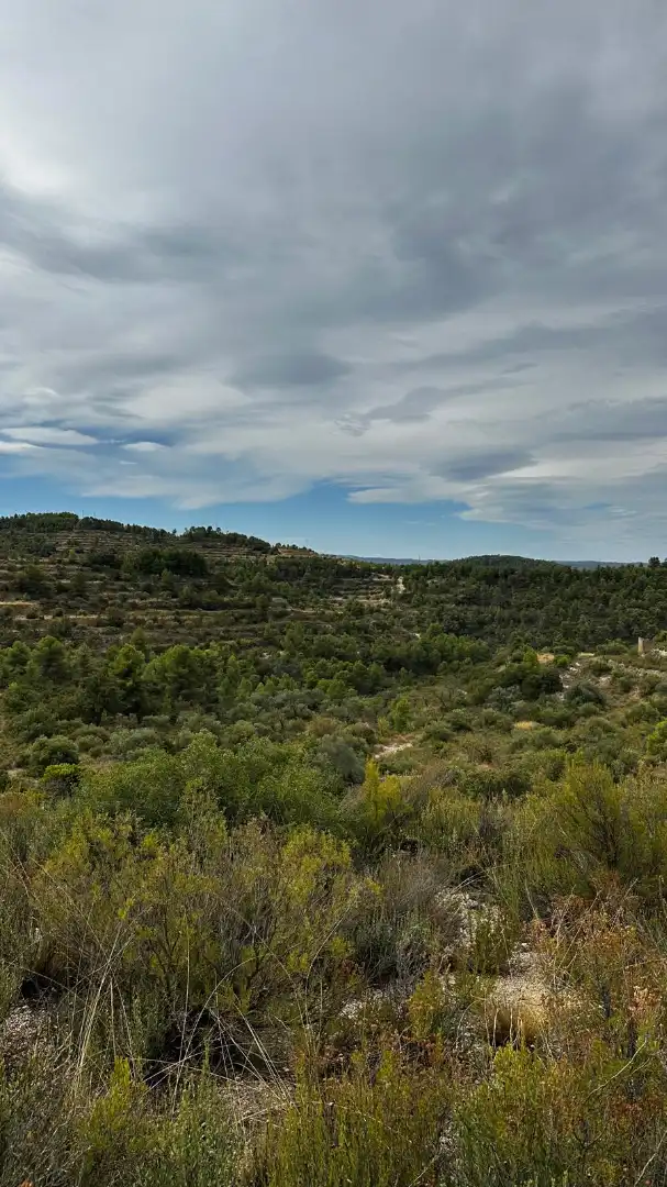 Terreny rústic en venda a Cervià de Les Garrigues, imagen 3
