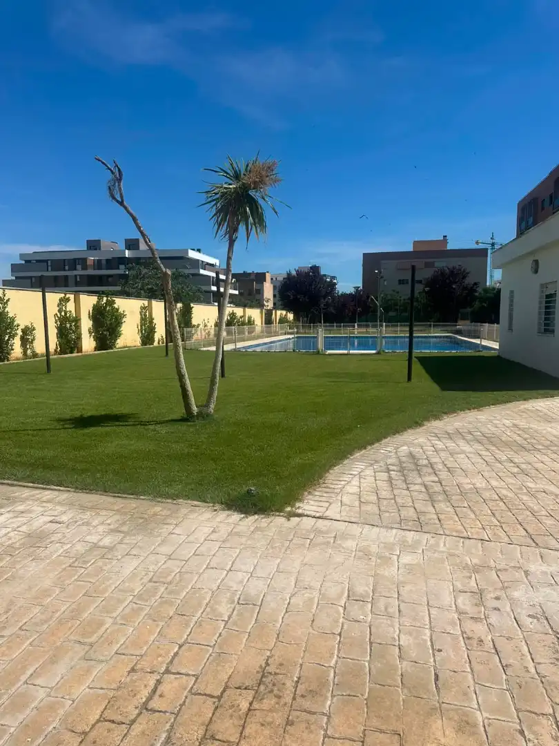 Piso con piscina en alquiler en Calle Alvar Gómez