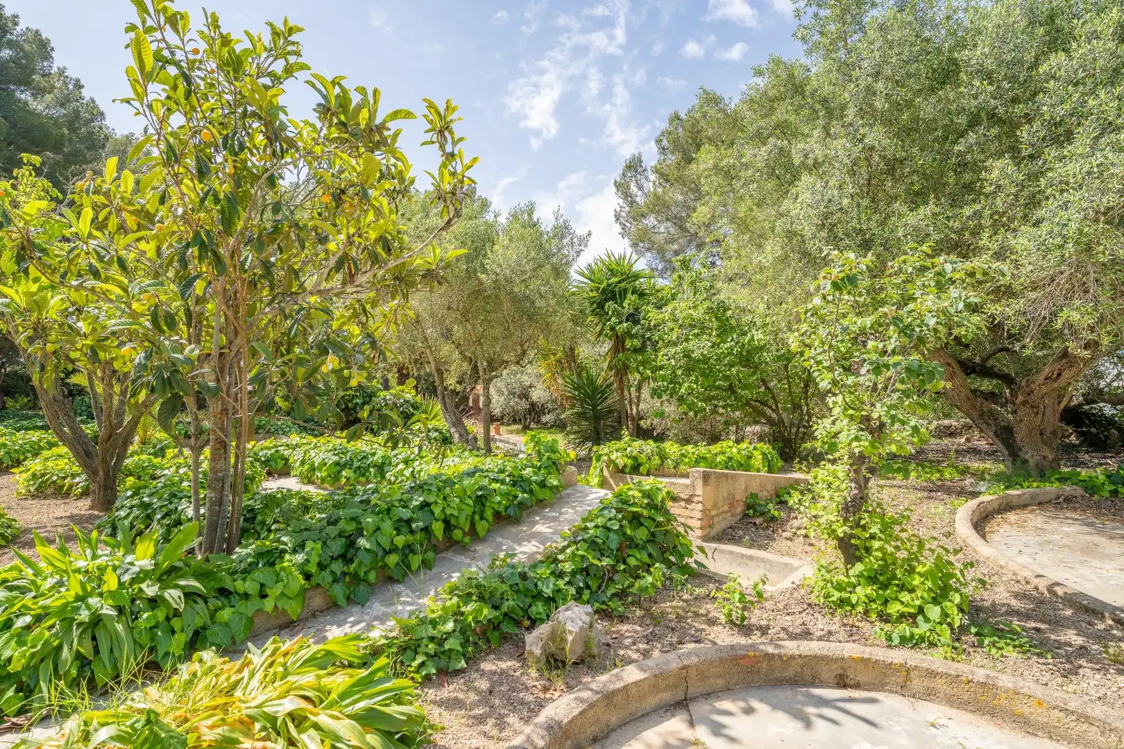 Villa avec piscine à vendre à MUNTANYA OLIVA-I, imagen 65