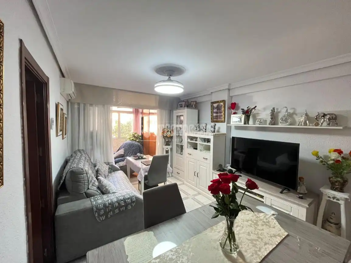 Sala de estar de Piso en venta en Málaga con Terraza